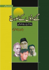 Image of گۓ دنوں کے سورج