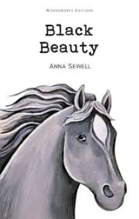 Image of Black Beauty