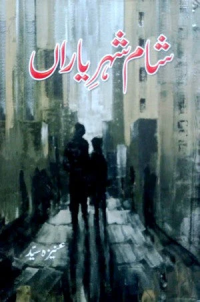 Image of شامِ شہرِیاراں