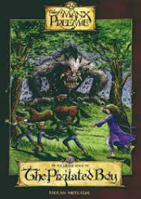 Image of The Pixilated Boy